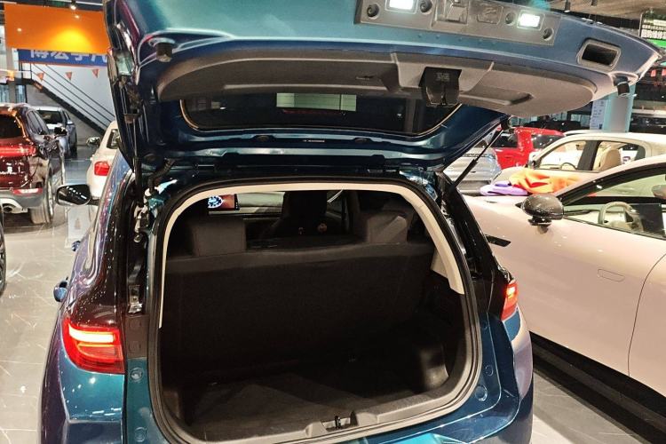 Used Dayun Yuehu 2021 32.85 kWh Two-Wheel-Drive Sprite Version Trunk