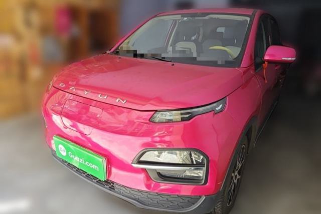 Used Dayun Yuehu 2021 32.85 kWh Two-Wheel-Drive Sprite Version