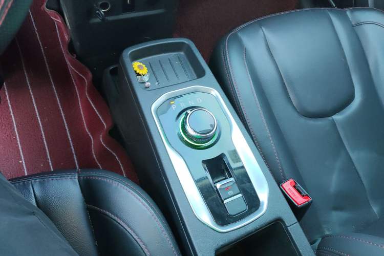 Used Dayun Yuehu 2021 32.85 kWh Two-Wheel-Drive Sprite Version Gear Lever