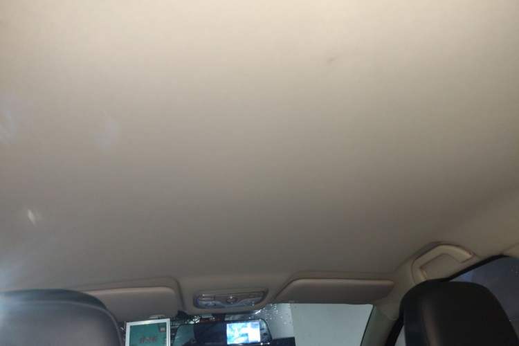 Used Dayun Yuehu 2021 32.85 kWh Two-Wheel-Drive Sprite Version Headliner
