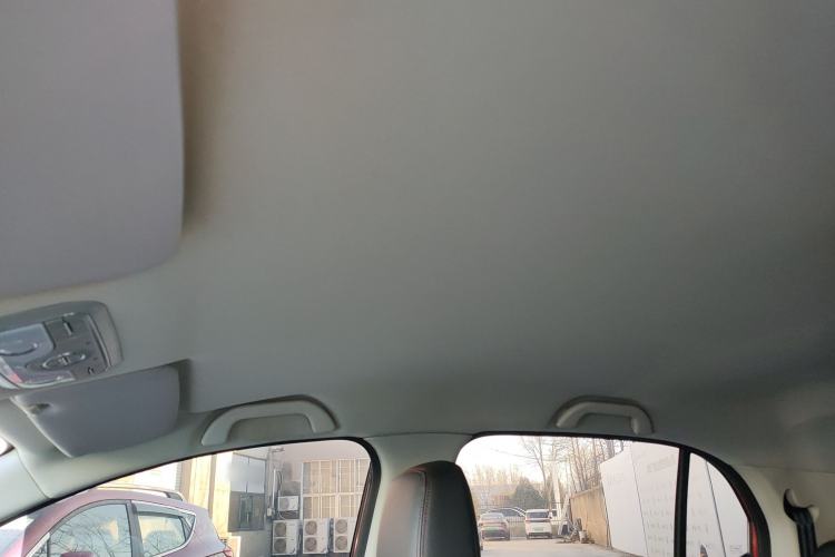Used Dayun Yuehu 2021 32.85 kWh Two-Wheel-Drive Sprite Version Headliner
