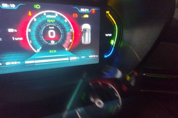 Used Dayun Yuehu 2021 32.85 kWh Two-Wheel-Drive Sprite Version Odometer Close Up