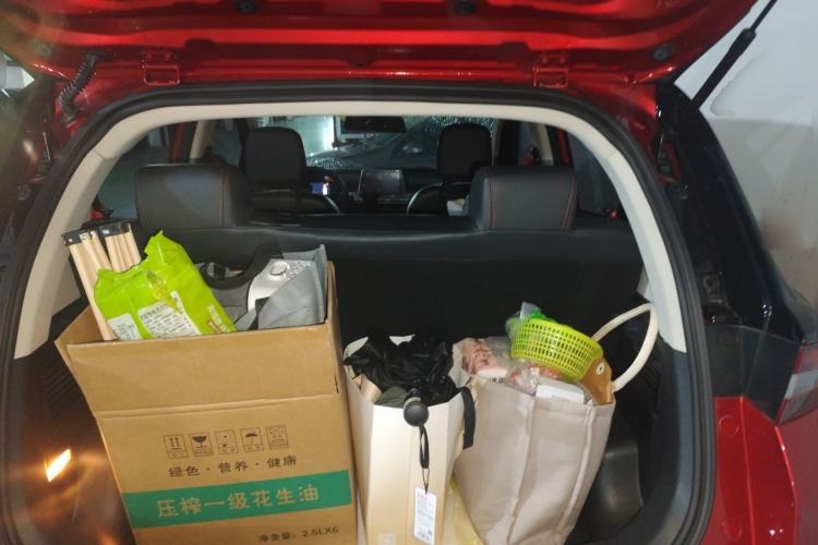 Used Dayun Yuehu 2021 32.85 kWh Two-Wheel-Drive Sprite Version Trunk