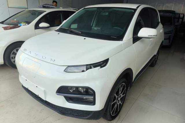 Used Dayun Yuehu 2021 32.85 kWh Two-Wheel-Drive Sprite Version