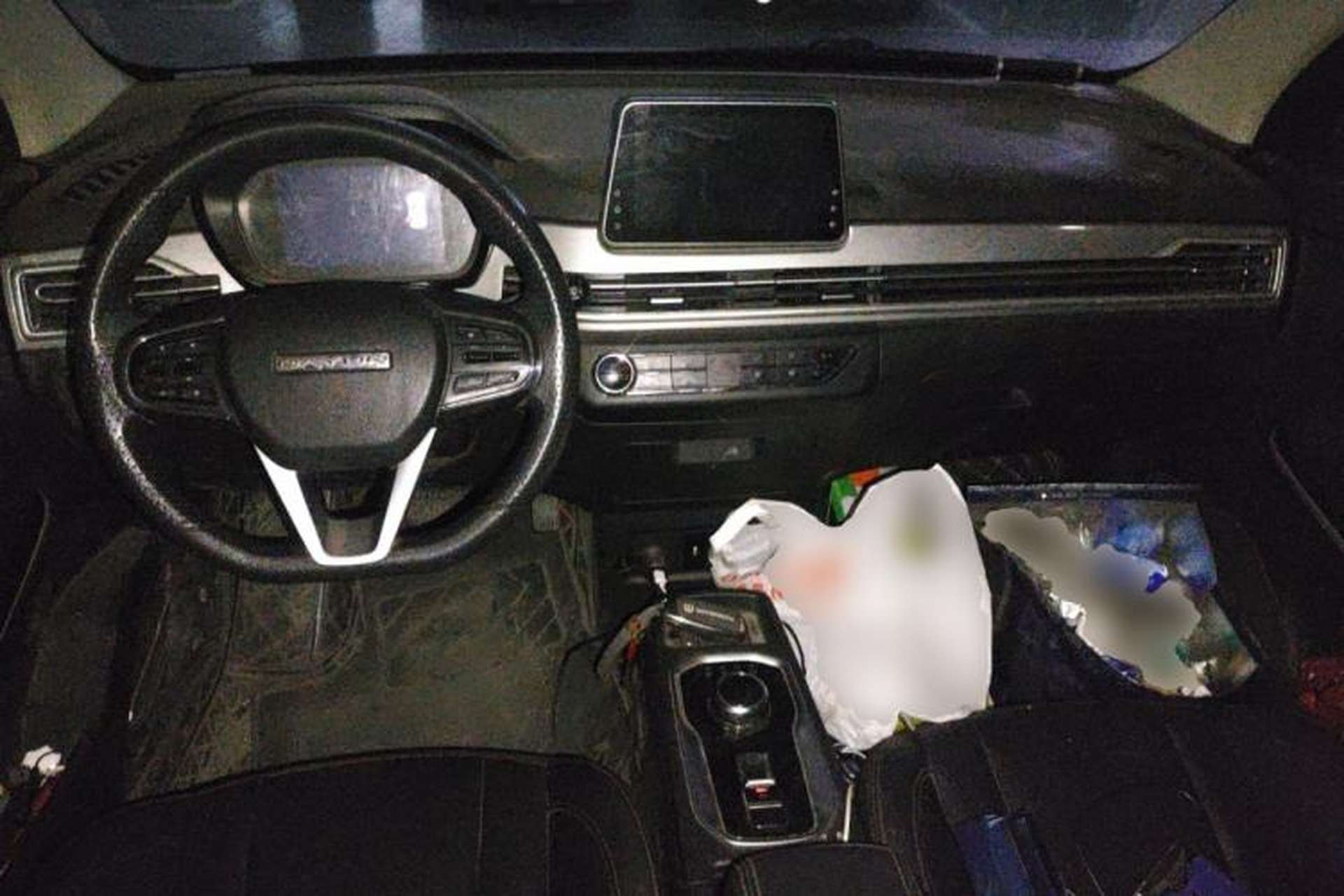 Used Dayun Yuehu 2021 Revised Version 32.85 kWh Two-Wheel Drive Sprite Edition Center Console