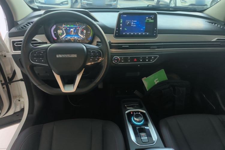 Used Dayun Yuehu 2021 32.85 kWh Two-Wheel-Drive Sprite Version Center Console