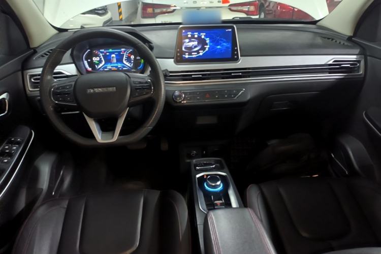 Used Dayun Yuehu 2021 32.85 kWh Two-Wheel-Drive Sprite Version Center Console