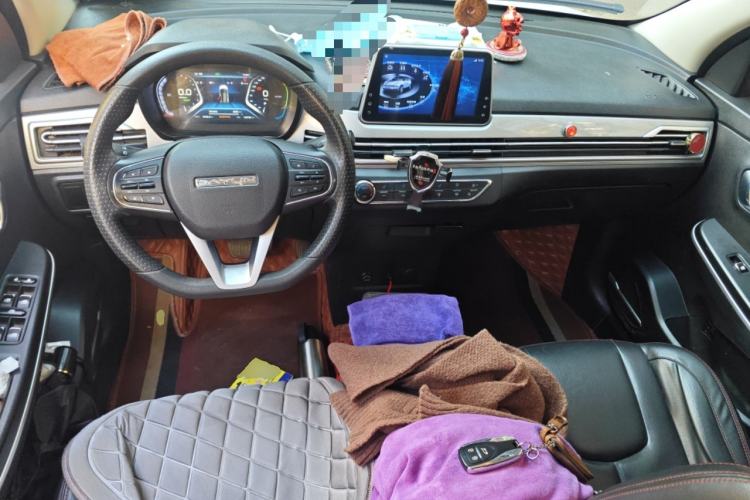 Used Dayun Yuehu 2021 32.85 kWh Two-Wheel-Drive Sprite Version Center Console