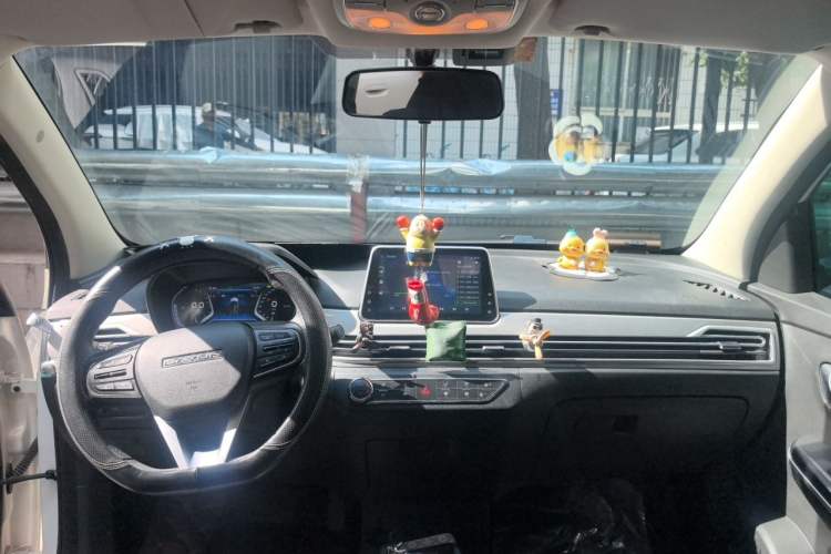 Used Dayun Yuehu 2021 32.85 kWh Two-Wheel-Drive Sprite Version Center Console