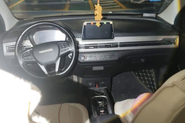 Used Dayun Yuehu 2021 32.85 kWh Two-Wheel-Drive Sprite Version Center Console