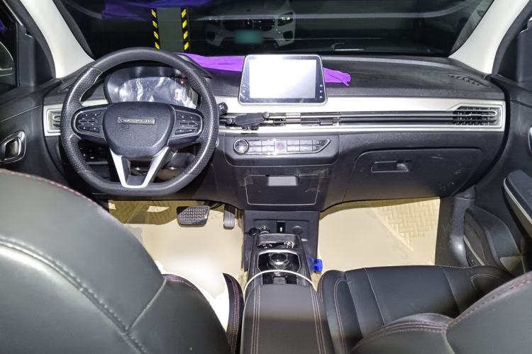 Used Dayun Yuehu 2021 32.85 kWh Two-Wheel-Drive Sprite Version Center Console