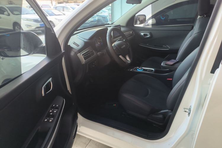 Used Dayun Yuehu 2021 32.85 kWh Two-Wheel-Drive Sprite Version Driver Seat