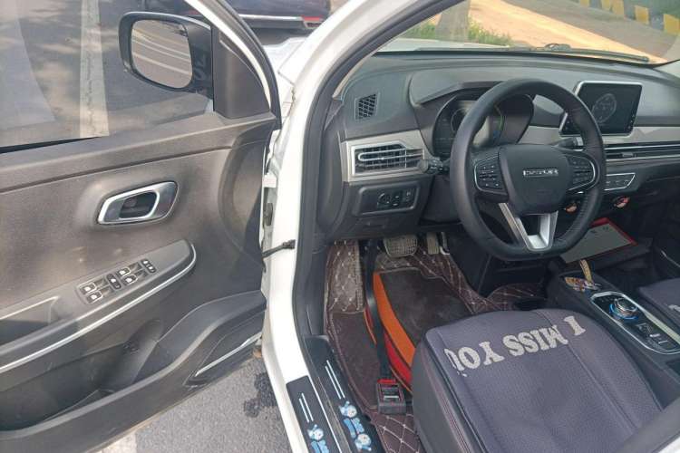 Used Dayun Yuehu 2021 32.85 kWh Two-Wheel-Drive Sprite Version Driver Seat