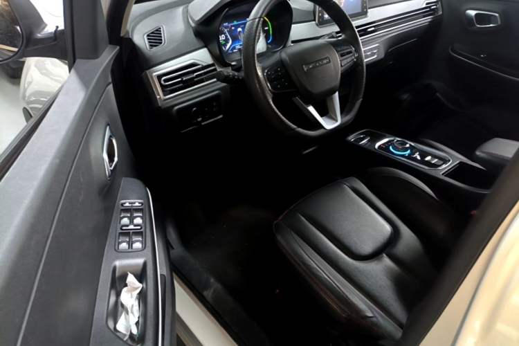 Used Dayun Yuehu 2021 32.85 kWh Two-Wheel-Drive Sprite Version Driver Seat