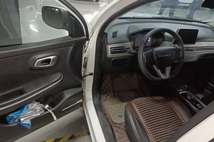 Used Dayun Yuehu 2021 32.85 kWh Two-Wheel-Drive Sprite Version Driver Seat