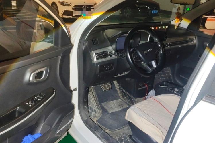 Used Dayun Yuehu 2021 32.85 kWh Two-Wheel-Drive Sprite Version Driver Seat