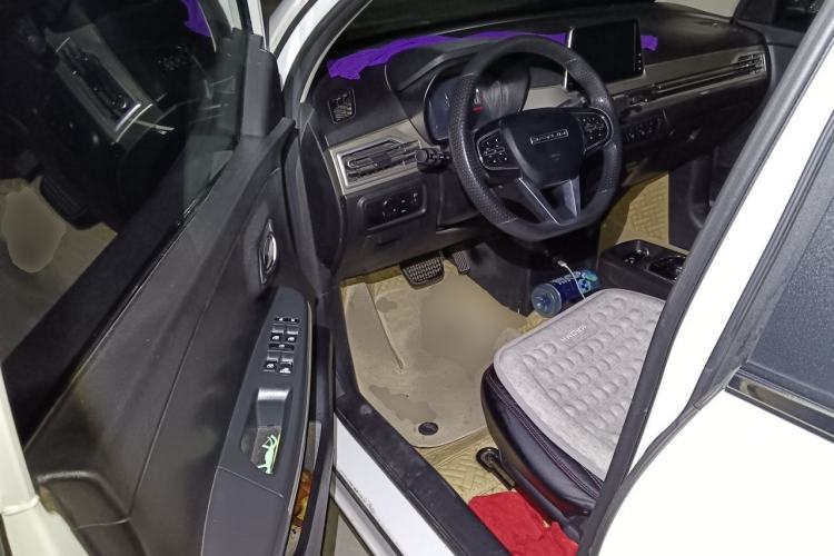 Used Dayun Yuehu 2021 32.85 kWh Two-Wheel-Drive Sprite Version Driver Seat