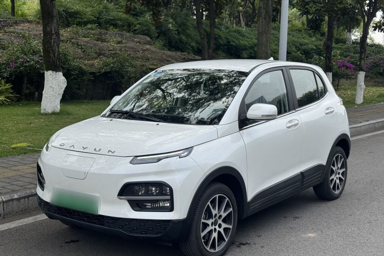 Used Dayun Yuehu 2021 32.85 kWh Two-Wheel-Drive Sprite Version Exterior 1