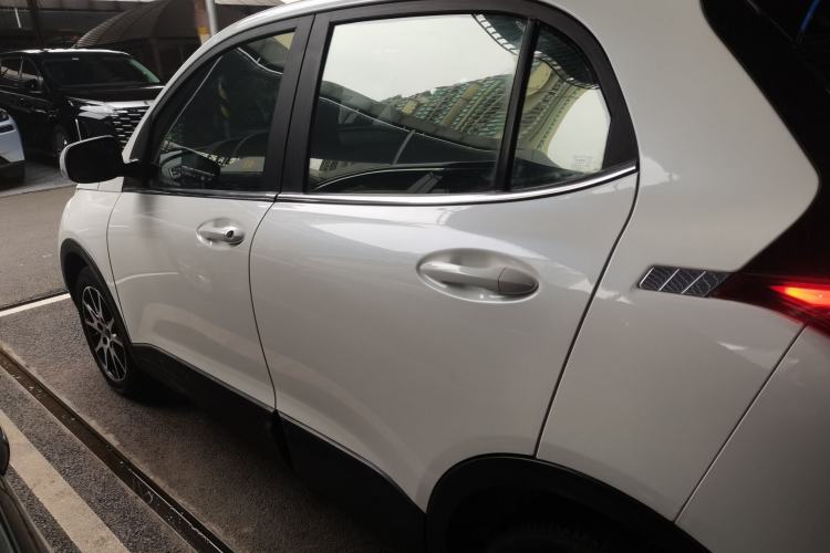 Used Dayun Yuehu 2021 32.85 kWh Two-Wheel-Drive Sprite Version Exterior 3