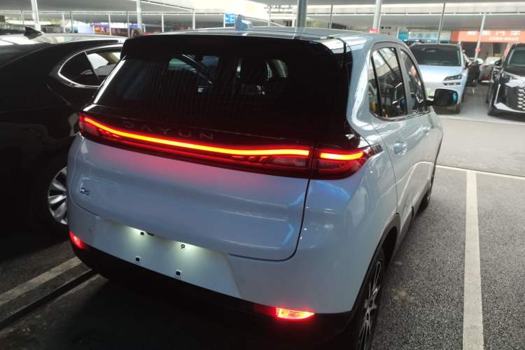 Used Dayun Yuehu 2021 32.85 kWh Two-Wheel-Drive Sprite Version Exterior 5