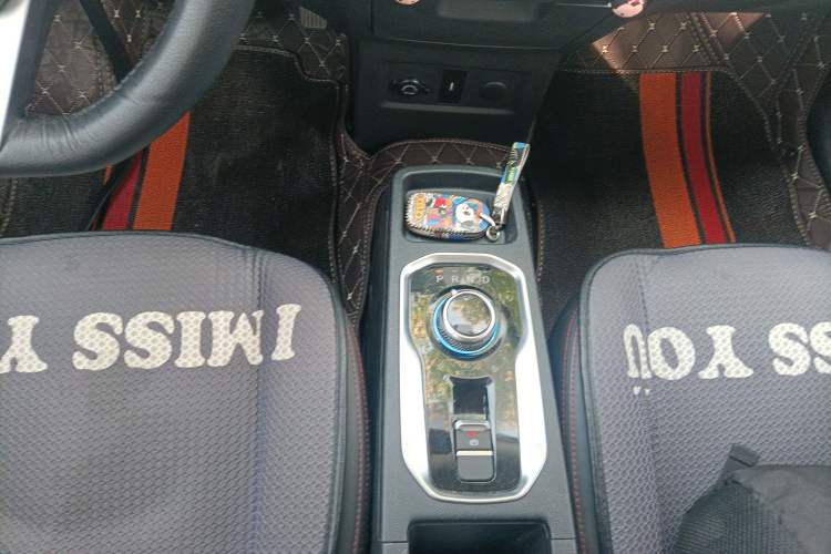 Used Dayun Yuehu 2021 32.85 kWh Two-Wheel-Drive Sprite Version Gear Lever