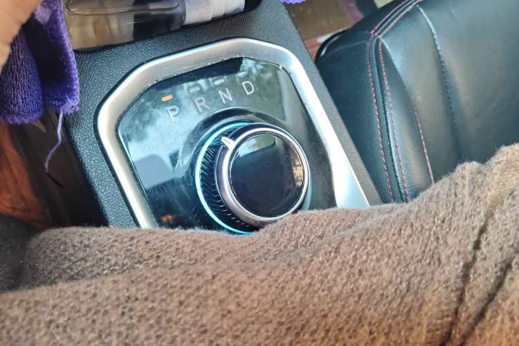 Used Dayun Yuehu 2021 32.85 kWh Two-Wheel-Drive Sprite Version Gear Lever