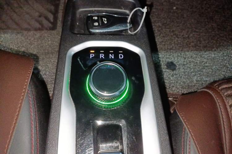 Used Dayun Yuehu 2021 32.85 kWh Two-Wheel-Drive Sprite Version Gear Lever