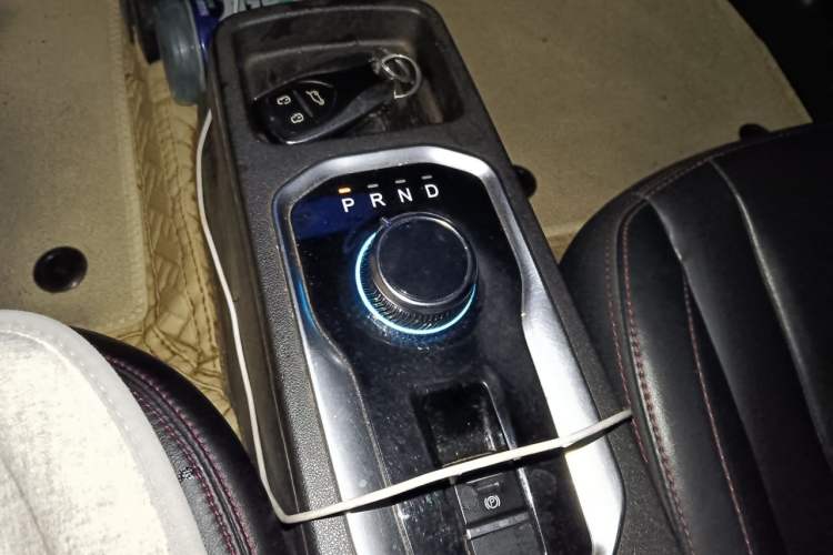 Used Dayun Yuehu 2021 32.85 kWh Two-Wheel-Drive Sprite Version Gear Lever