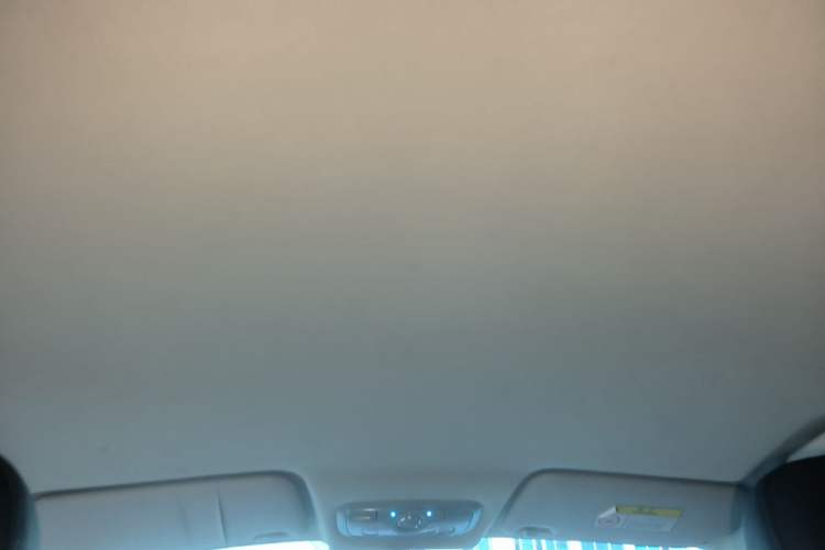 Used Dayun Yuehu 2021 32.85 kWh Two-Wheel-Drive Sprite Version Headliner