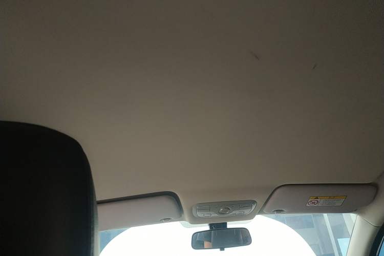 Used Dayun Yuehu 2021 32.85 kWh Two-Wheel-Drive Sprite Version Headliner