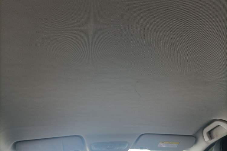 Used Dayun Yuehu 2021 32.85 kWh Two-Wheel-Drive Sprite Version Headliner