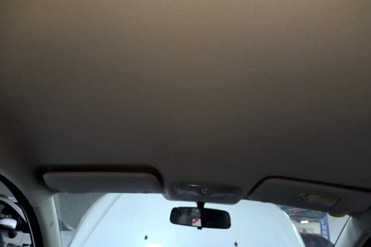 Used Dayun Yuehu 2021 32.85 kWh Two-Wheel-Drive Sprite Version Headliner