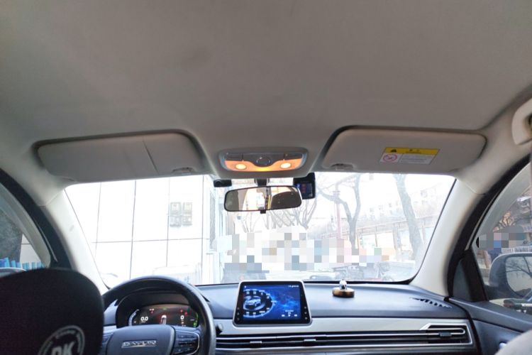 Used Dayun Yuehu 2021 32.85 kWh Two-Wheel-Drive Sprite Version Headliner