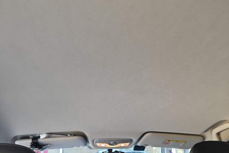 Used Dayun Yuehu 2021 32.85 kWh Two-Wheel-Drive Sprite Version Headliner