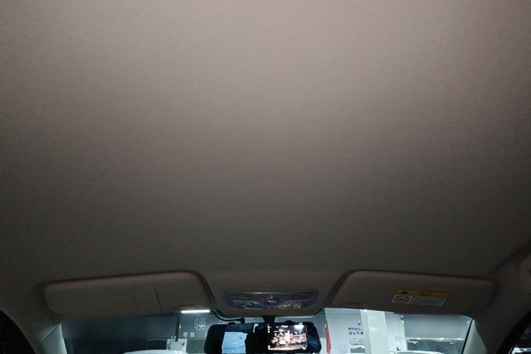 Used Dayun Yuehu 2021 32.85 kWh Two-Wheel-Drive Sprite Version Headliner