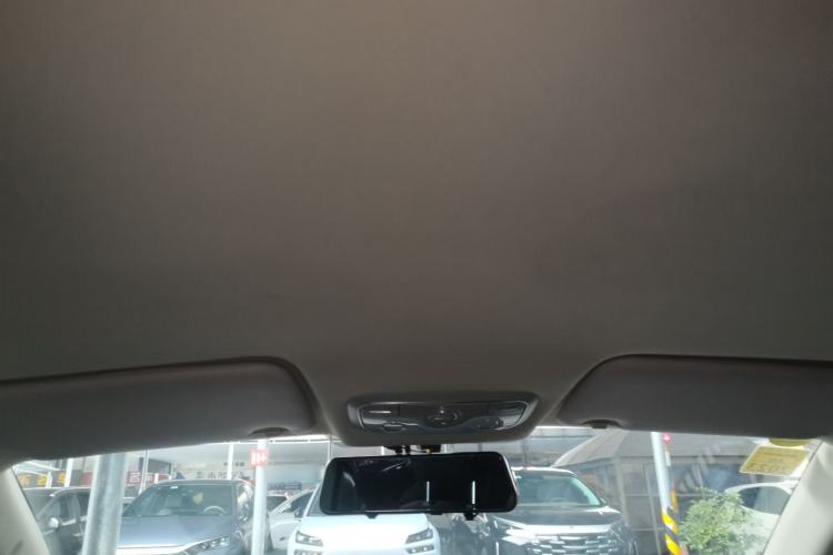 Used Dayun Yuehu 2021 32.85 kWh Two-Wheel-Drive Sprite Version Headliner