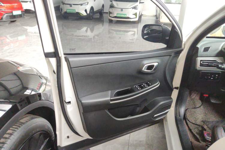 Used Dayun Yuehu 2021 Revised Version 32.85 kWh Two-Wheel Drive Sprite Edition Left Front Door Interior