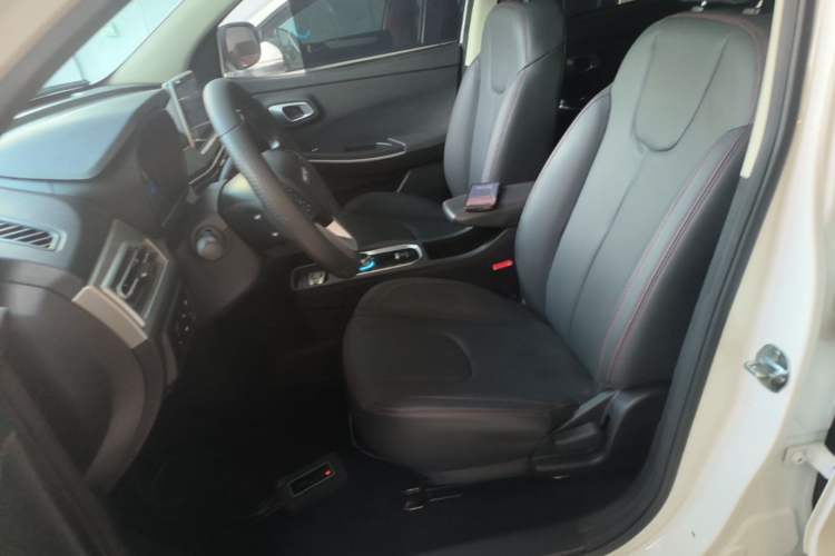 Used Dayun Yuehu 2021 32.85 kWh Two-Wheel-Drive Sprite Version Left Front Seat