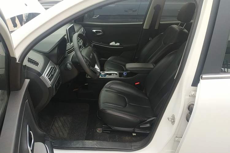 Used Dayun Yuehu 2021 32.85 kWh Two-Wheel-Drive Sprite Version Left Front Seat