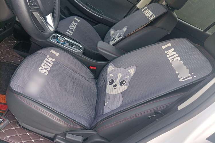 Used Dayun Yuehu 2021 32.85 kWh Two-Wheel-Drive Sprite Version Left Front Seat