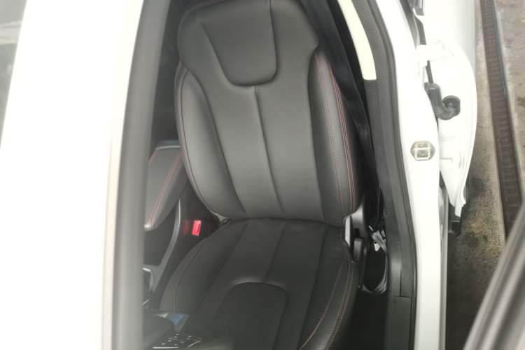 Used Dayun Yuehu 2021 32.85 kWh Two-Wheel-Drive Sprite Version Left Front Seat
