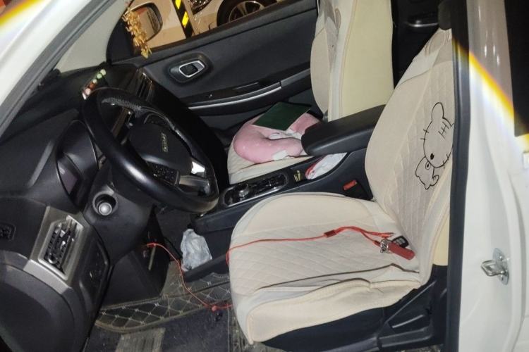 Used Dayun Yuehu 2021 32.85 kWh Two-Wheel-Drive Sprite Version Left Front Seat