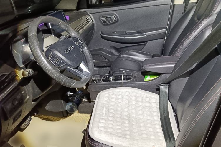 Used Dayun Yuehu 2021 32.85 kWh Two-Wheel-Drive Sprite Version Left Front Seat