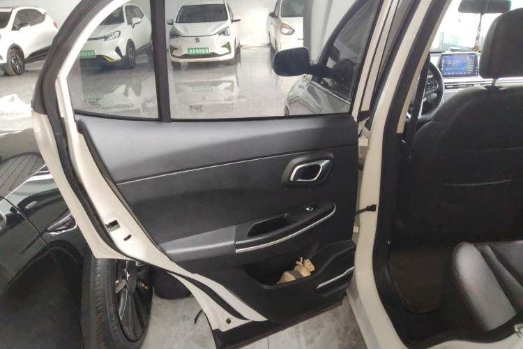 Used Dayun Yuehu 2021 Revised Version 32.85 kWh Two-Wheel Drive Sprite Edition Left Rear Door Interior