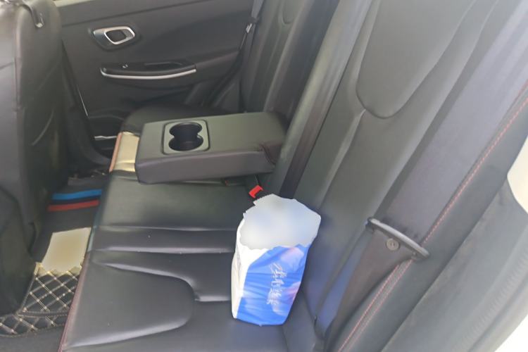 Used Dayun Yuehu 2021 Revised Version 32.85 kWh Two-Wheel Drive Sprite Edition Left Rear Seat