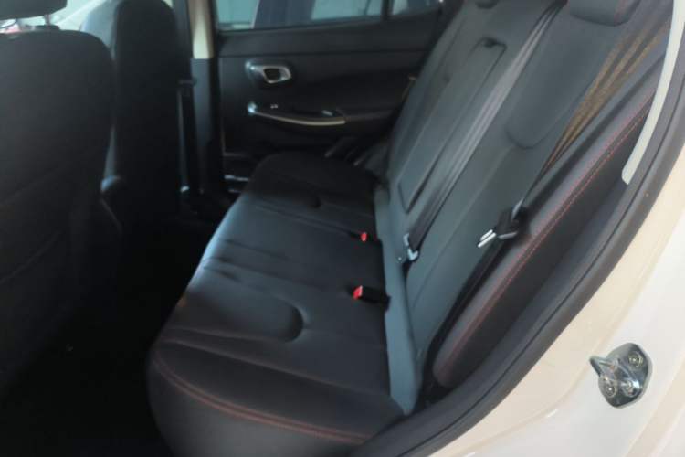 Used Dayun Yuehu 2021 32.85 kWh Two-Wheel-Drive Sprite Version Left Rear Seat