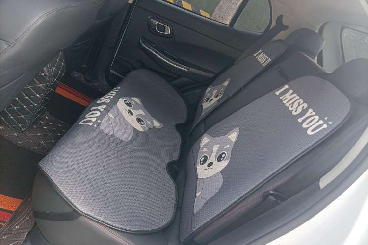 Used Dayun Yuehu 2021 32.85 kWh Two-Wheel-Drive Sprite Version Left Rear Seat