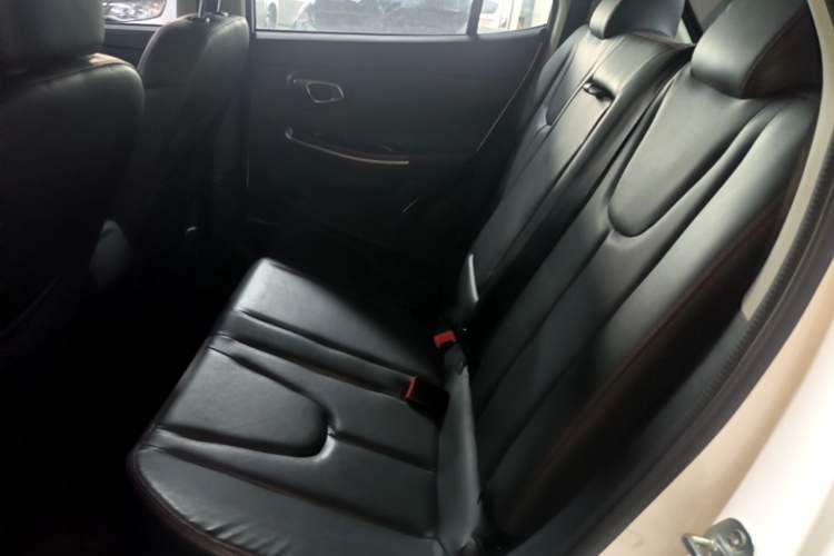 Used Dayun Yuehu 2021 32.85 kWh Two-Wheel-Drive Sprite Version Left Rear Seat