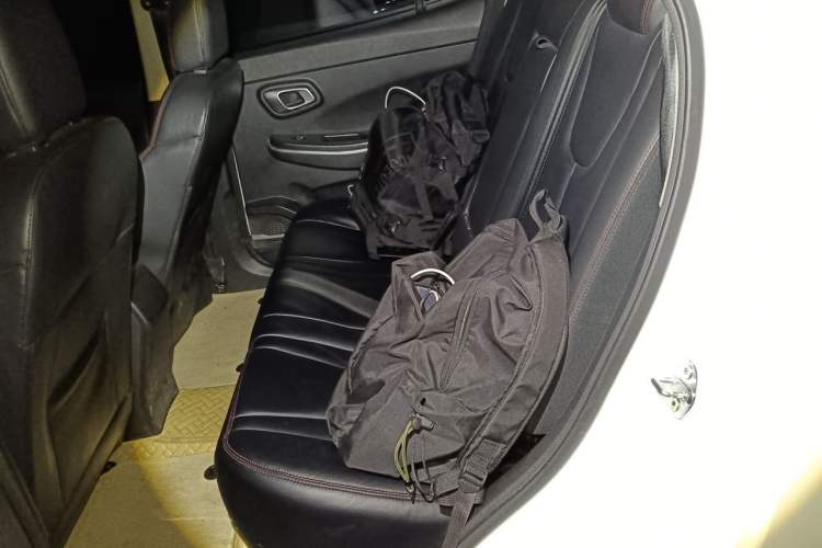 Used Dayun Yuehu 2021 32.85 kWh Two-Wheel-Drive Sprite Version Left Rear Seat