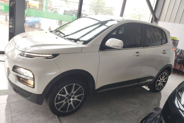 Used Dayun Yuehu 2021 Revised Version 32.85 kWh Two-Wheel Drive Sprite Edition Left Side